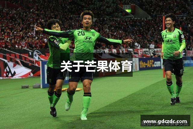 关于芒果体育